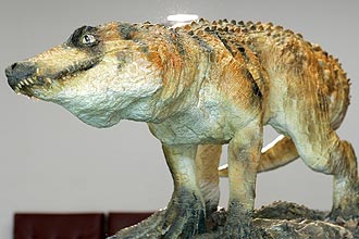Animal _Montealtosuchus arrudacamposi_ tem caraterísticas intermediárias entre duas fases da evolução dos crocodilos